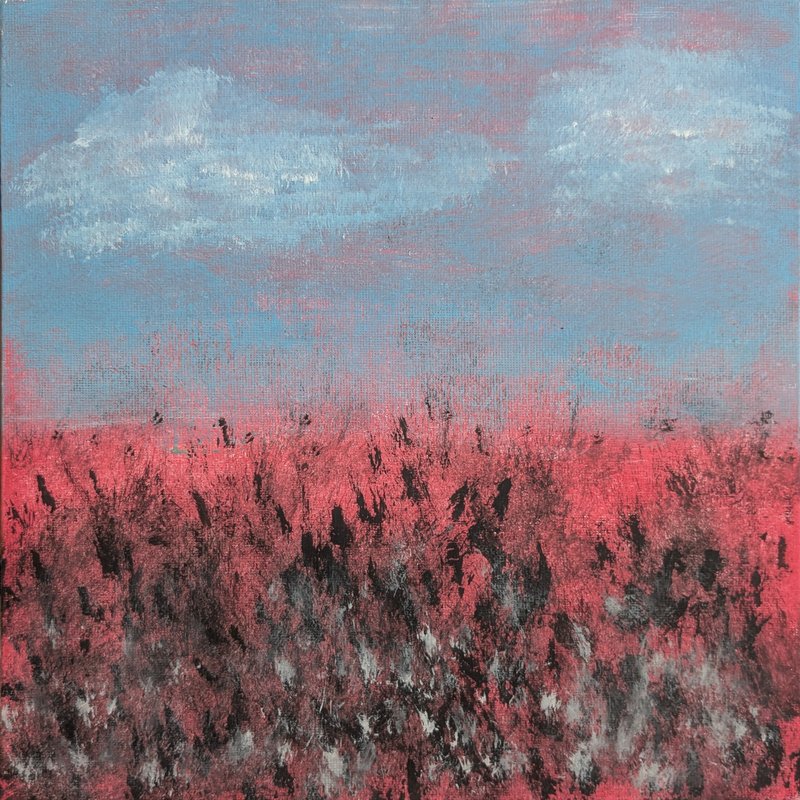 Terre rose